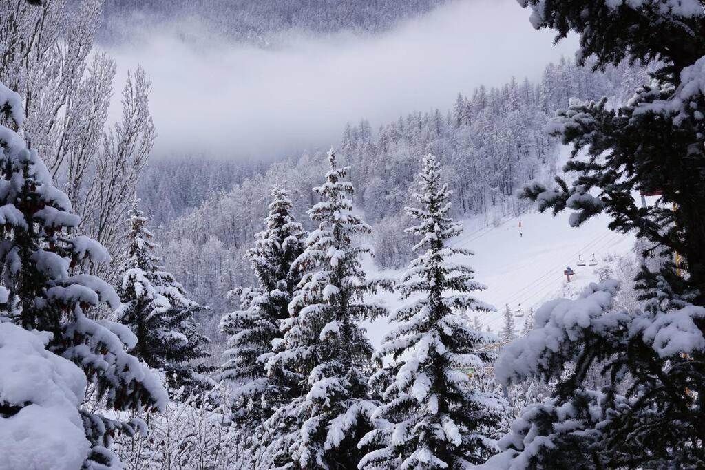 Serre Chevalier,Chantemerle,T2 Proche Pistes Saint-Chaffrey Eksteriør billede